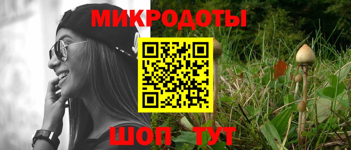 Галлюциногенные грибы мицелий Благовещенск